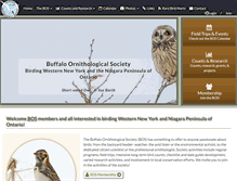 Tablet Screenshot of buffaloornithologicalsociety.org